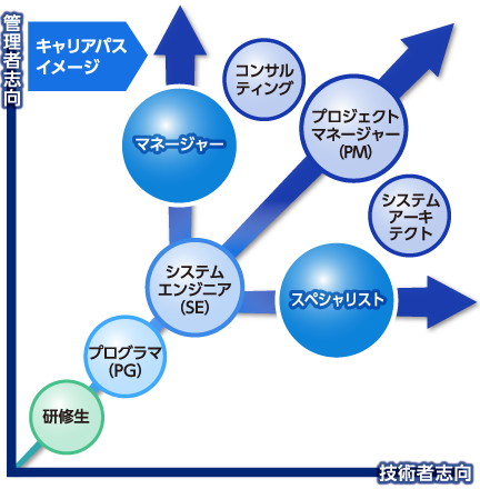 キャリアパスイメージ